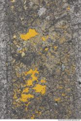 Painted Concrete